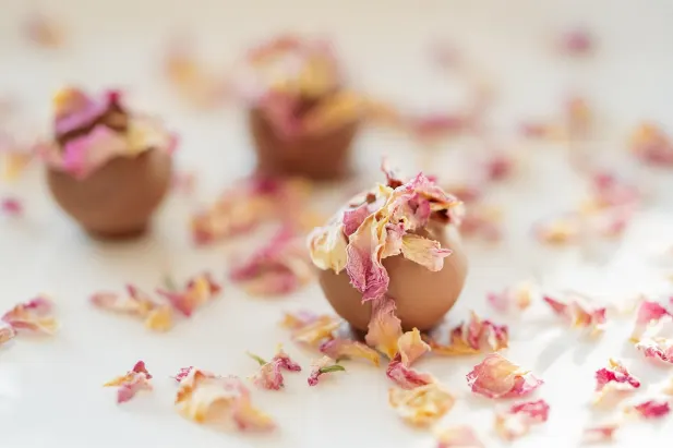 Cazino Fantastic Spins Cazinou Aplicație Android/iOS